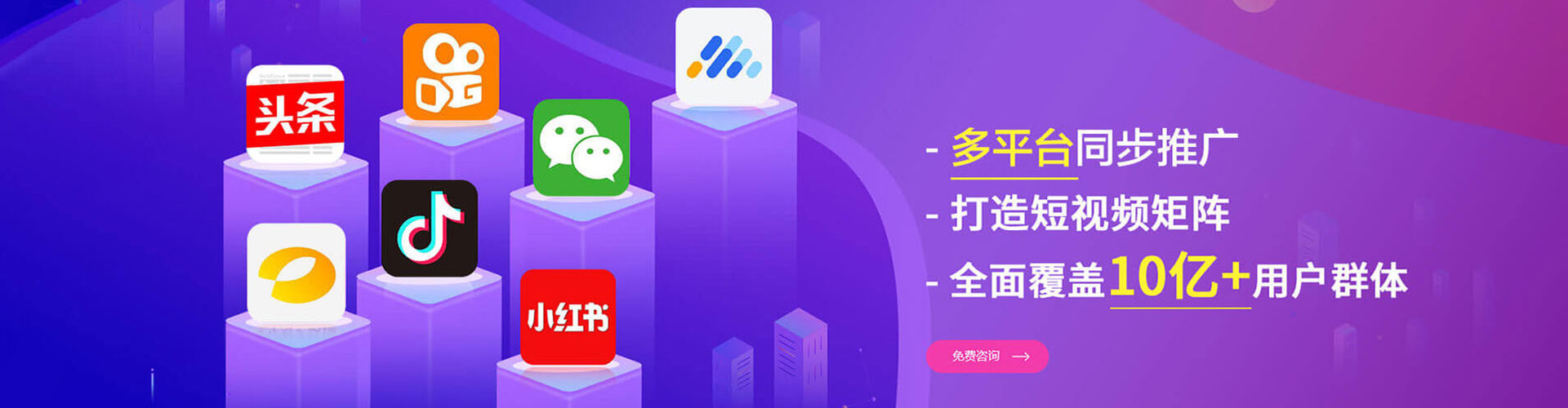龙城信息流优化